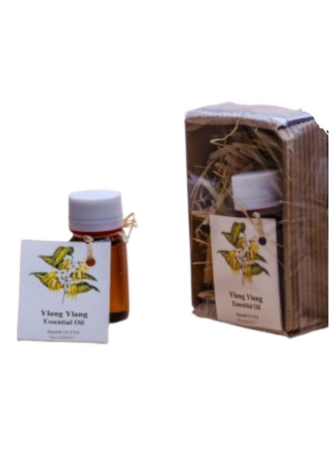 Nefertari Ylang Ylang Essential Oil – Skin & Hair Care – 25 ml - Image 1